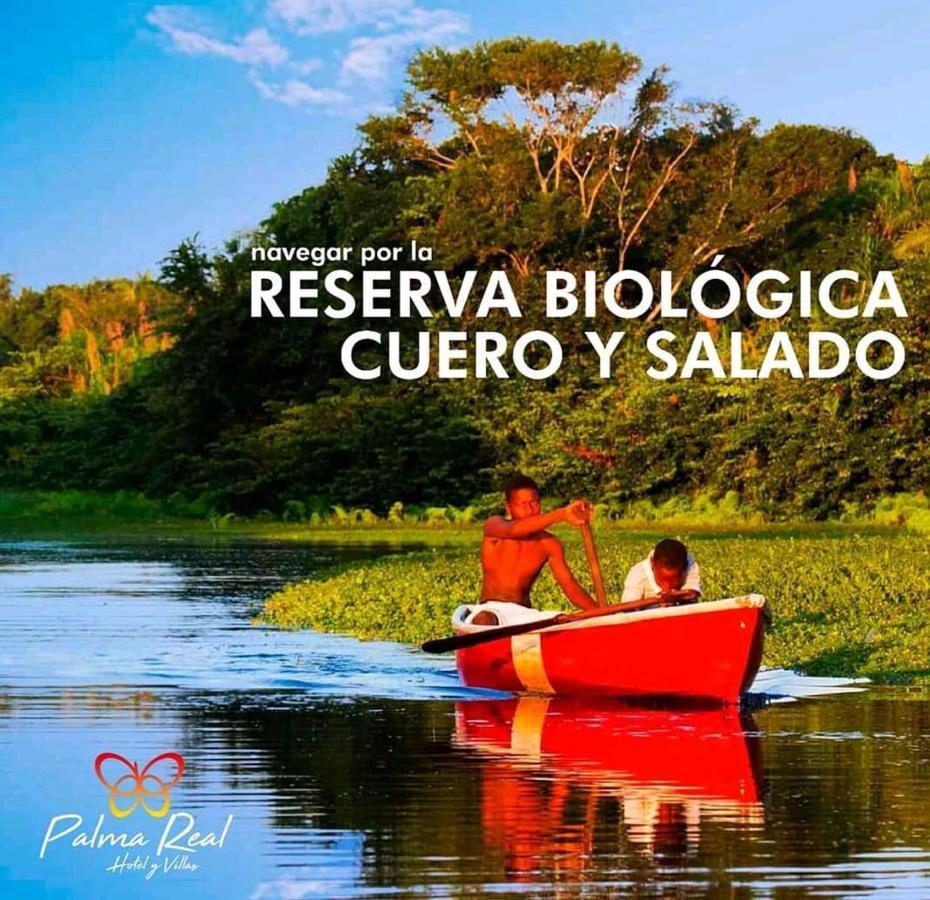 Paradise Villa In Palma Real La Ceiba Bagian luar foto