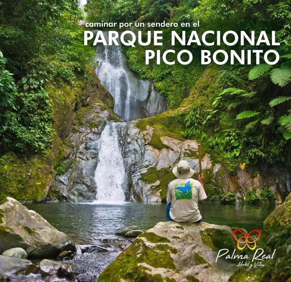 Paradise Villa In Palma Real La Ceiba Bagian luar foto